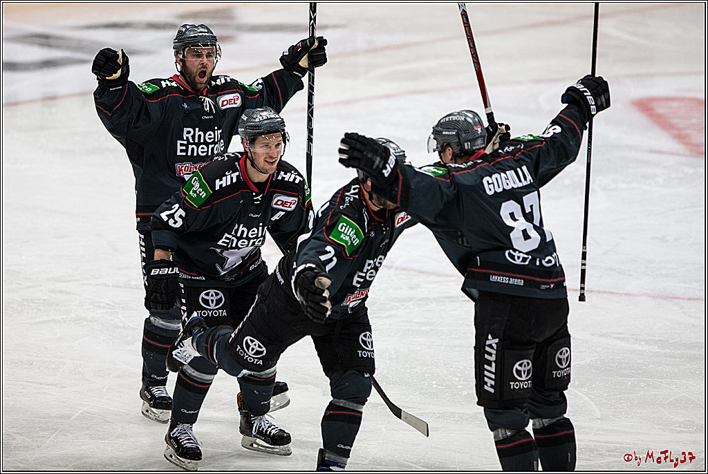 DEL, Koelner Haie - Nuernberg Ice Tiger, 24.01.2017